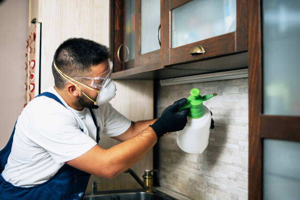 Best Pest Control for Businesses  in Ashland, OR