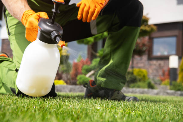 Best Cockroach Control Services  in Ashland, OR