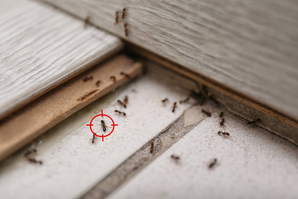 Best Commercial Pest Control Services  in Ashland, OR