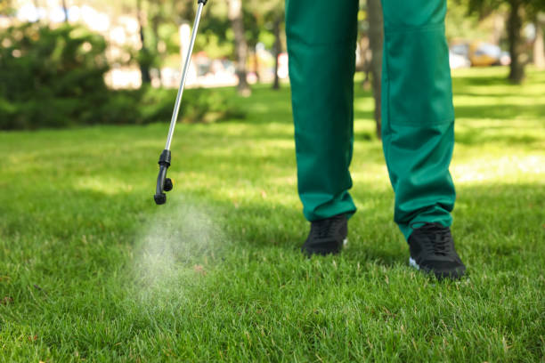 Professional Pest Control in Ashland, OR