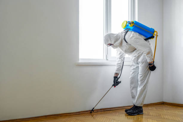  Ashland, OR Pest Control Pros