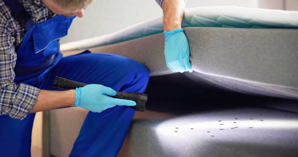 Best Best Pest Control Companies  in Ashland, OR