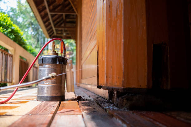 Best Affordable Pest Control Services  in Ashland, OR