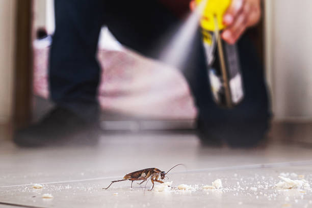 Best Pest Removal Services  in Ashland, OR