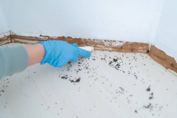 Best Wildlife Control Services  in Ashland, OR